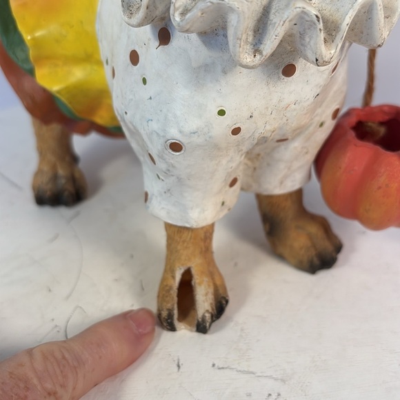 “Too Cute To Spook” Chihuahua in Costume with Jack O Lantern Crackers Barrel - Picture 5 of 6